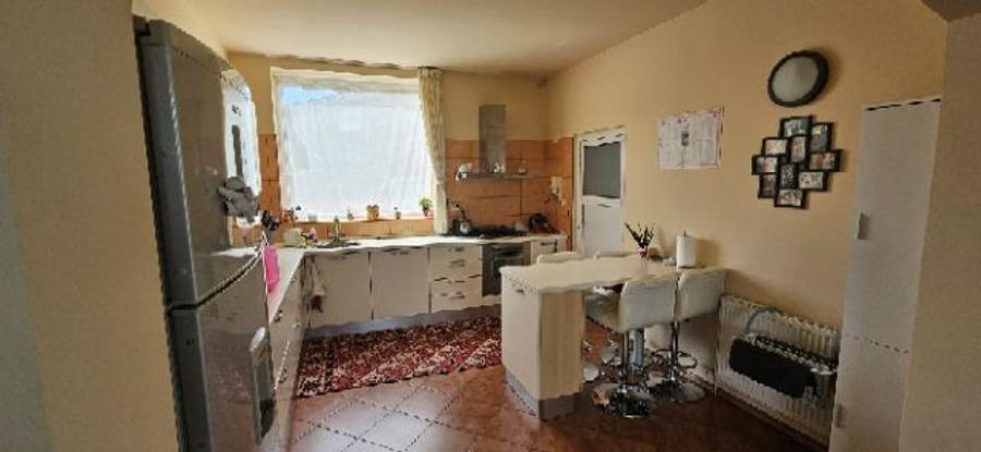 Ciopani vila 5 camere teren 4000 mp