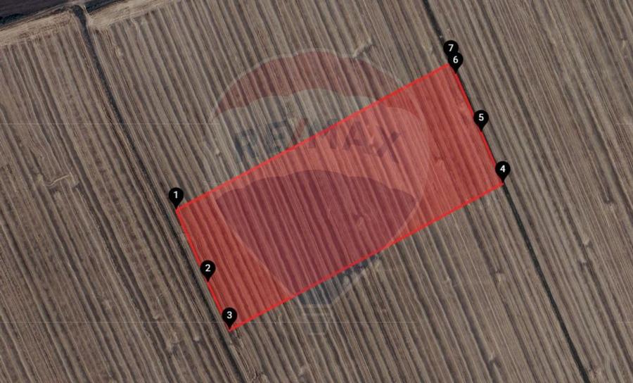 Teren extravilan 46,300mp Curtici