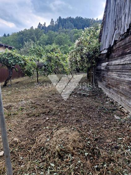 Casa individuala, 2 corpuri cladire si teren 760 mp - Saliste Sibiu - 8