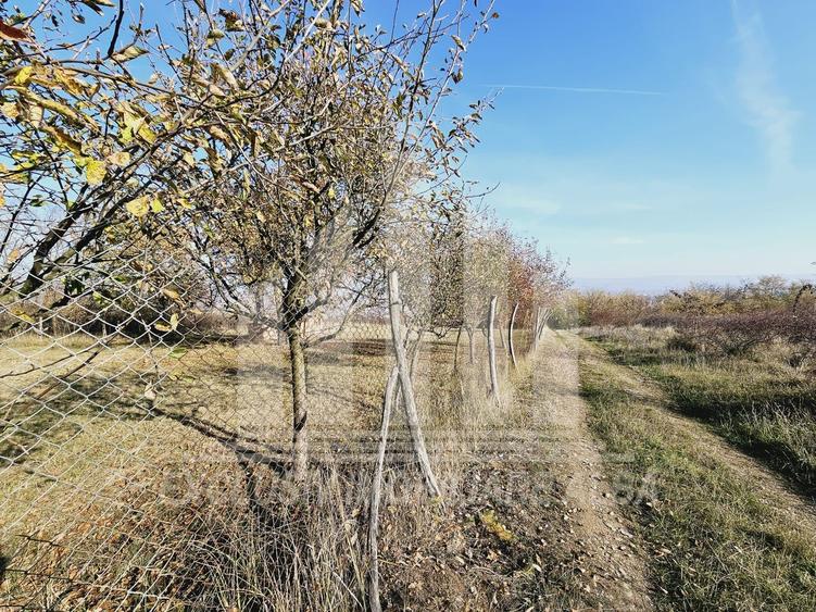 Teren intravilan | De vanzare | 700 mp | 31 ml deschidere | Podei