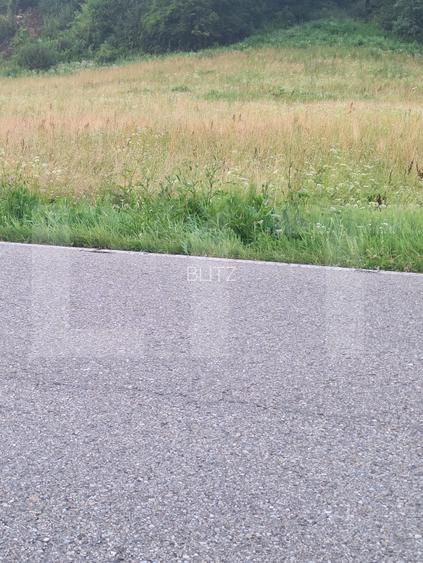 Teren la sosea, 5200 mp, localitatea Jena - 5