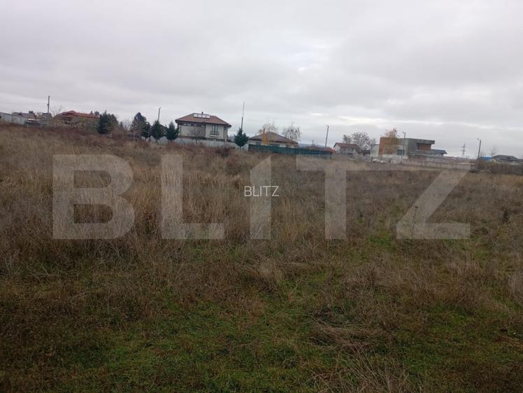 Teren 9.000 mp în Priseaca – Intravilan + Extravilan, aproape de Târgoviște - 3
