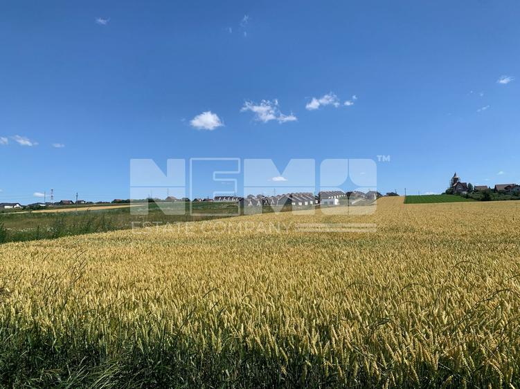 TEREN INTRAVILAN – SF. ILIE| SUCEAVA | 3.500 €/ar