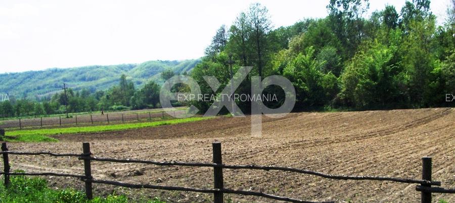 Teren intravilan 21.000 mp de vânzare – Suseni, Comuna Bogați, Județul Argeș - 6
