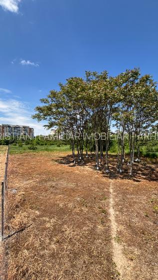 Teren 596 mp | Zona Calea Văcărești – Delta Văcărești - 3