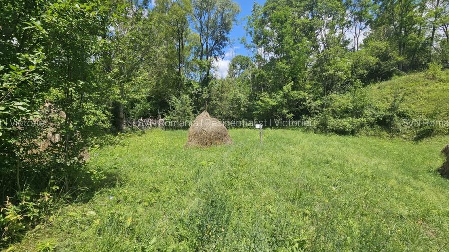 REL4001173 Teren de vanzare in Valea Doftanei - 10