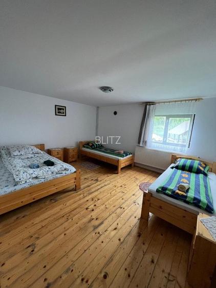 Cabana de 210mp, 2600 mp teren, in Rachitele - 3