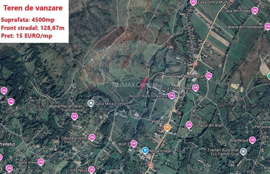 Teren Tohanul Nou 4500mp, in spate Wolf - 5