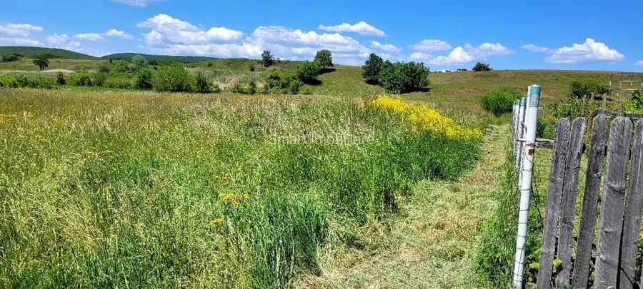 Teren Intravilan Podul Olt - 3