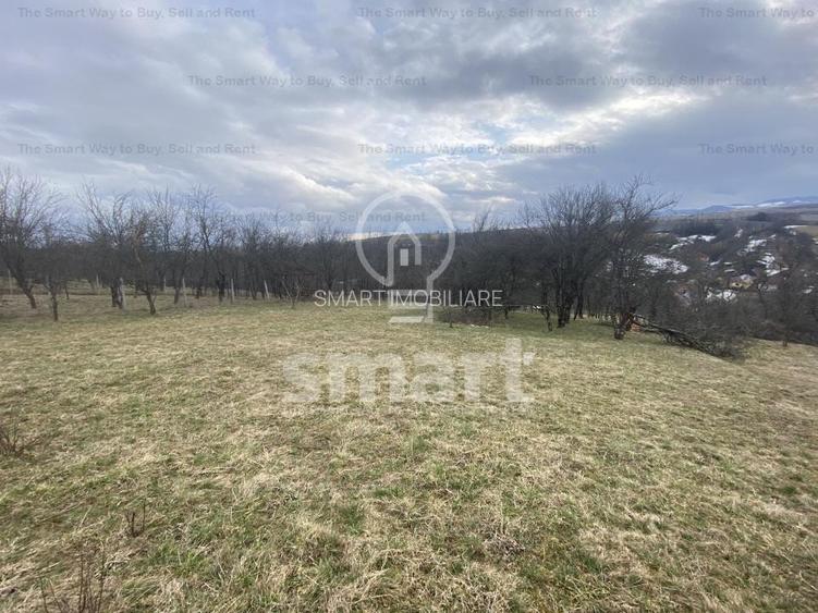 Teren intravilan cu CF 5400mp front 17 Savadisla jud Cluj - 13