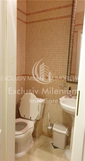 Vila / Casa Mosilor - Armeneasca ideal BIROURI - 9