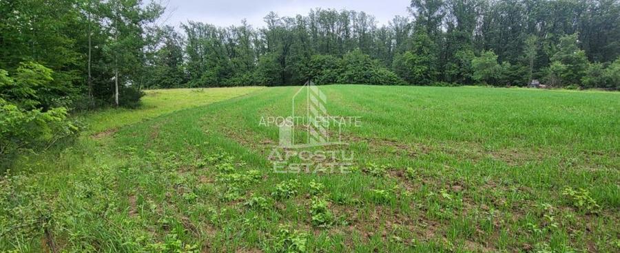 Teren mixt de 8.600 mp, ideal pentru investitie, Cuied - 3