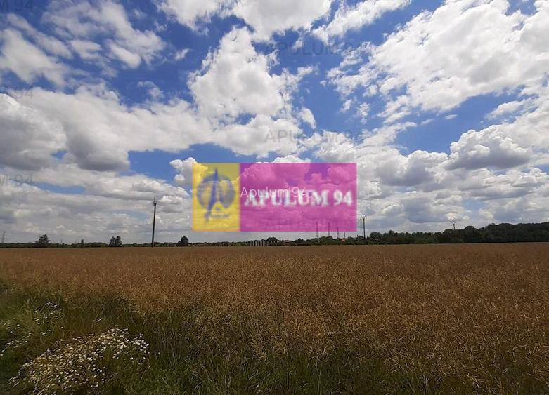 Teren 715mp în Snagov lângă Equestria - 35