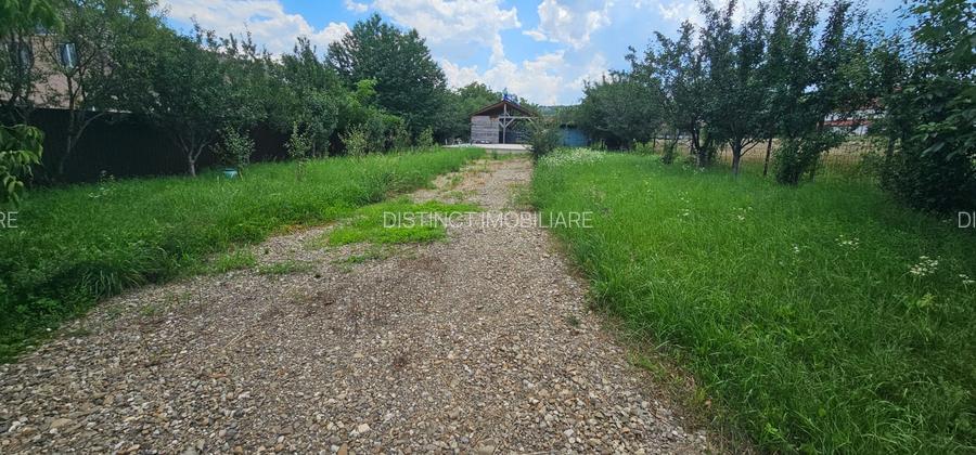 Vanzare teren intravilan, 1500 mp, Tarlungeni central. - 2