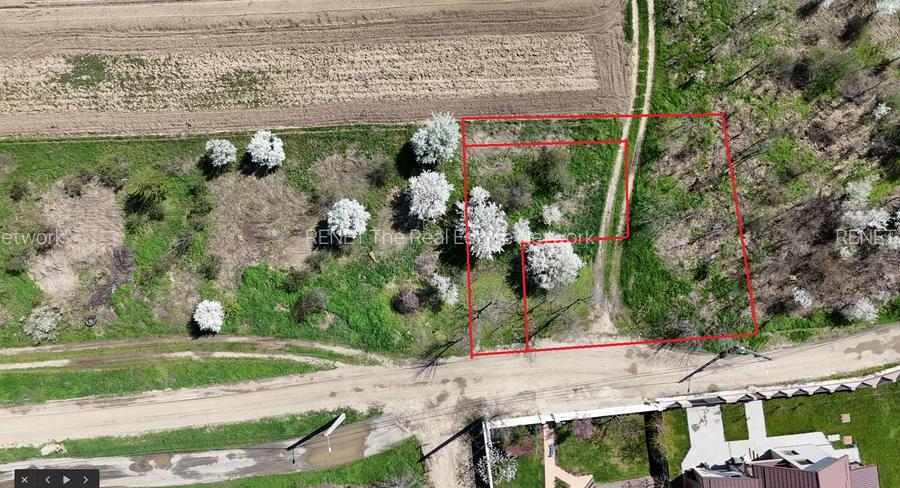 TARTASESTI, LOT 801 MP! - 5