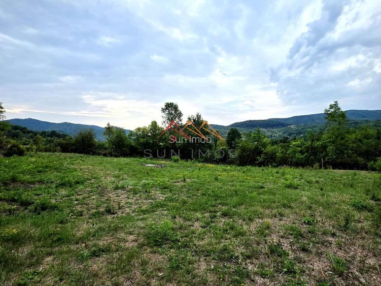 Teren Intravilan, utilitati in zona, 2600 mp, Draganeasa, Prahova - 5