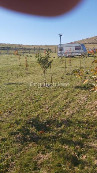 Teren extravilan 1000mp Centura nord - 2