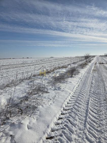 Teren ideal investitie 2 loturi  Str Calugareni-Lapusneanu - 4