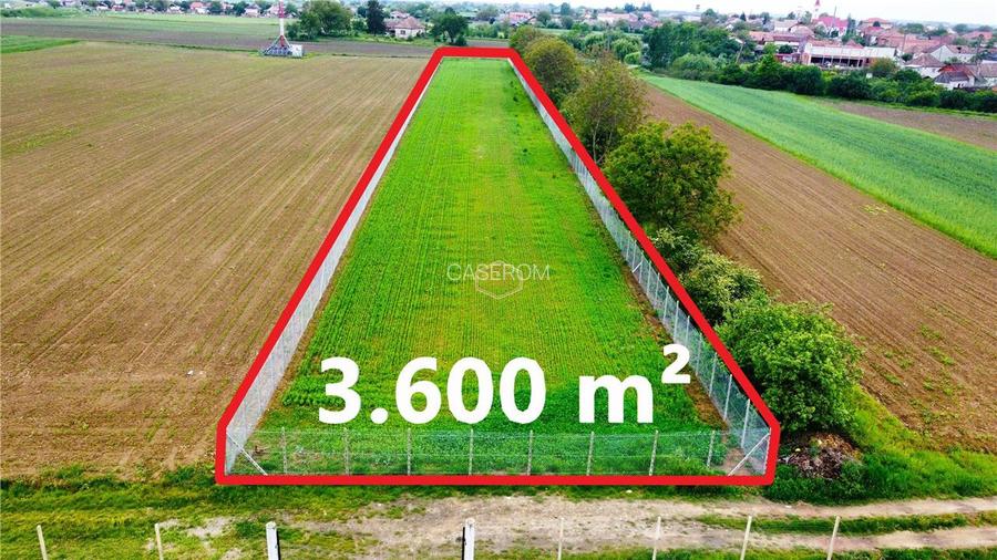 Teren 3.600 m² in Odoreu | 7 km de Satu Mare | 160 m de Principala - 5