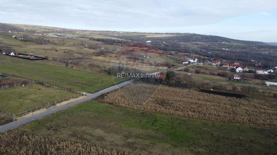 Teren 19.375 mp Dâmbu Rotund. Potențial rezidențial. Extravilan - 5