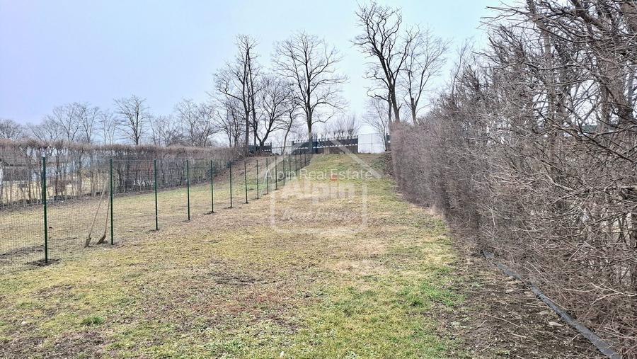 Duplex Zona Linistita Carpinis - 7