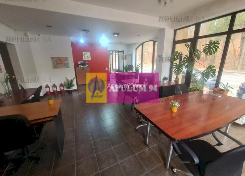 Spatiu de birou de închiriat în Sinaia - 2