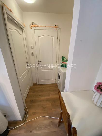 Lacul Tei x Teiul Doamnei, langa Facultatea de Constructii si Parcul Tei - 7