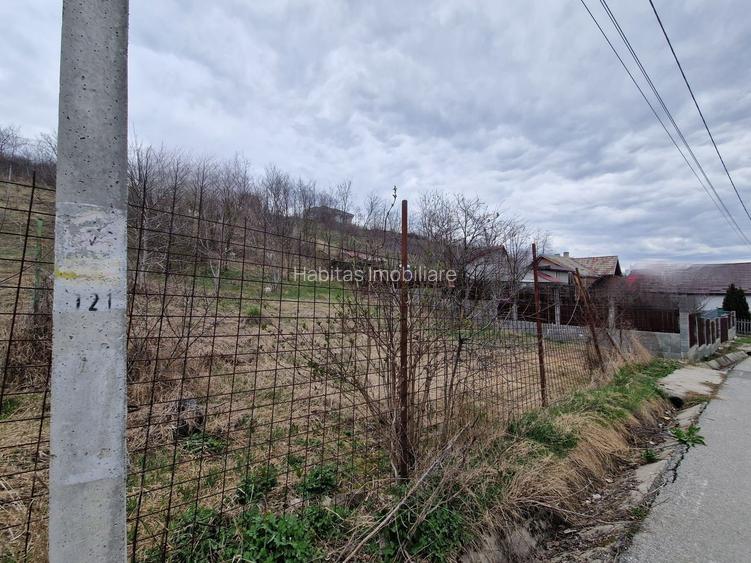 Teren cu toate utilitatile 584 mp, Dezmir zona str Criseni - 8