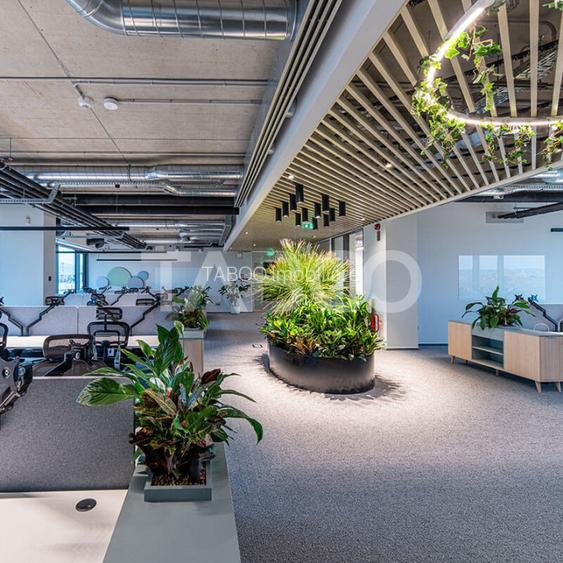 Birouri premium in Sibiu–Spatii flexibile moderne pentru companii - 12