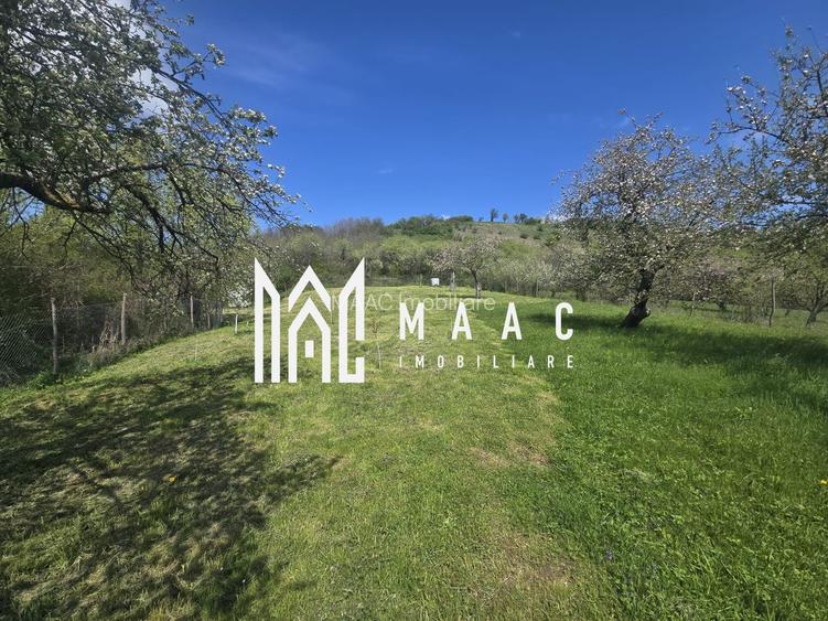 Teren 5400 mp superb cu livada si vedere spre munti Orlat - 11