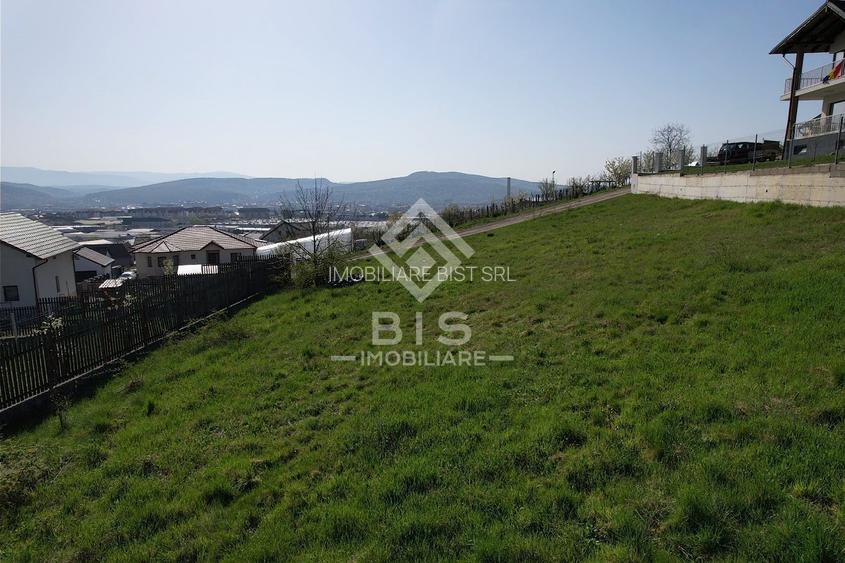 Teren de vanzare 10 ari - zona LEONI - 5