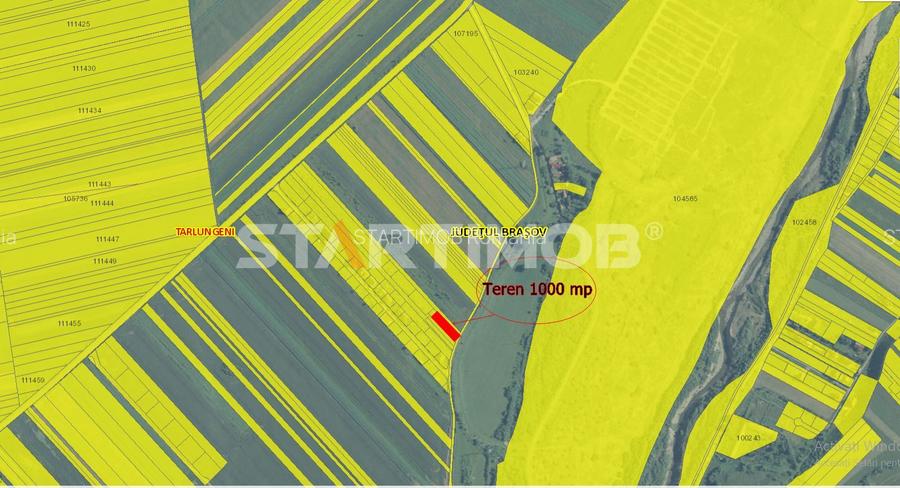 Teren Intravilan Tarlugeni - 3