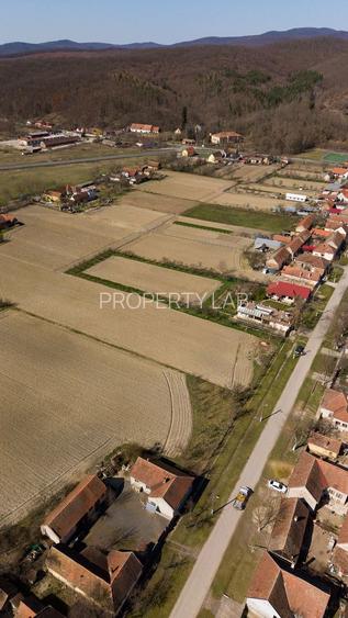 Loc de casă în Odvoș - Conop 3000mp - 29