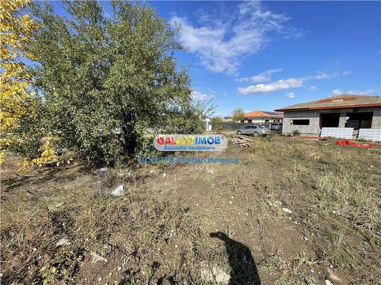 Gulia Tartasesti Str Samurcasi 482 mp deschidere 25 ml - 6