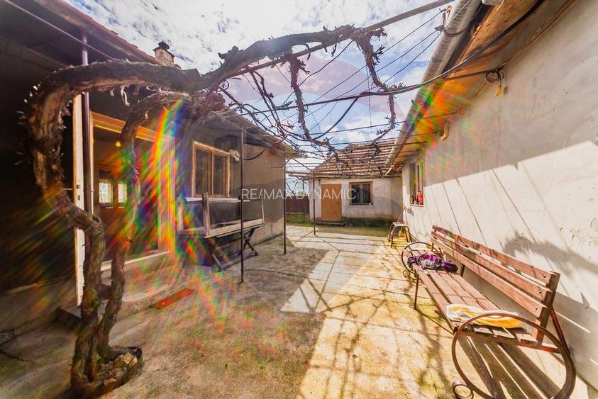 Casă cu teren 4500mp de vanzare in Carand Jud. Arad - 15