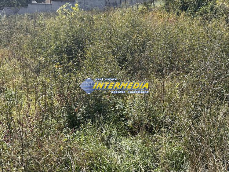 Teren intravilan I de vanzare I in Cetate I zona superba I 500 mp I - 3