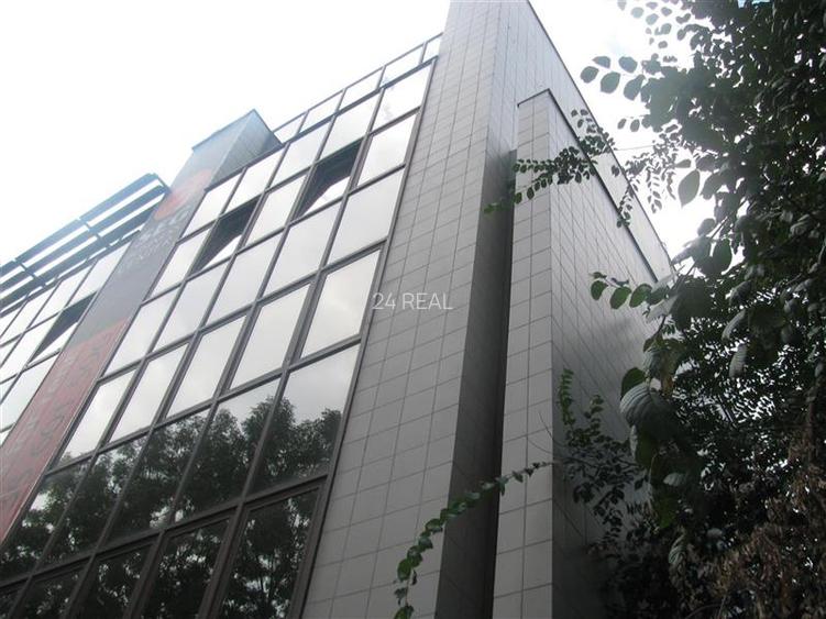 Inchiriere spatii pentru birouri pe Calea Floreasca de la 161 mp - 19