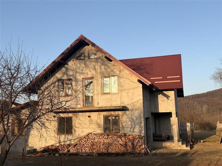 Vilă în Pătrăuți + 8400mp teren - 5