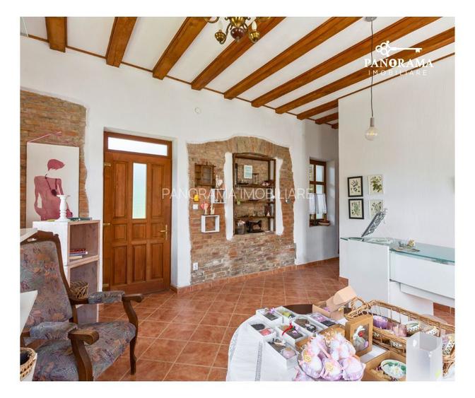 Proprietate cu farmec istoric și potențial turistic in Saschiz - 5