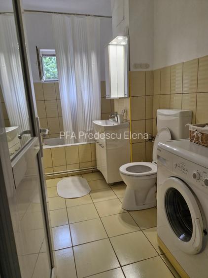 Dambovița-lângă Piața Flavia - 18