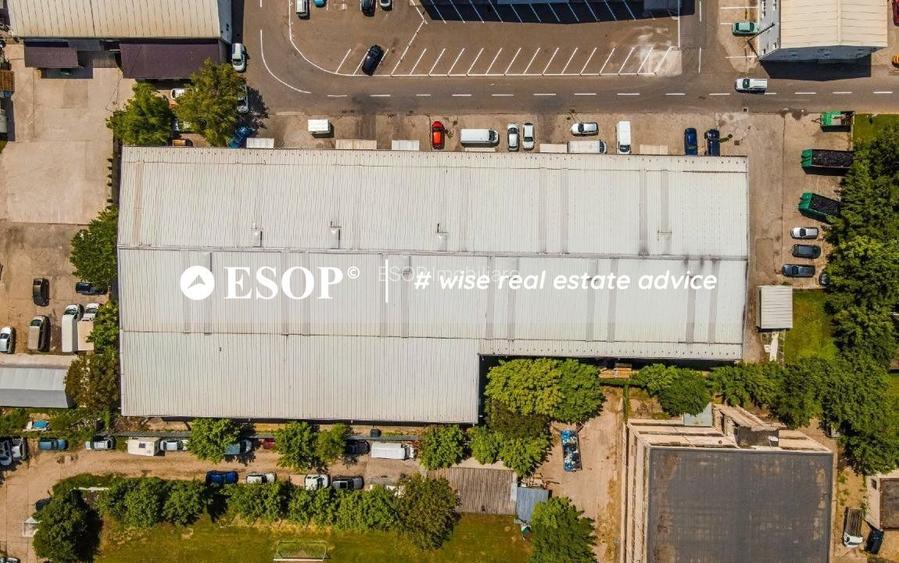 Hala de vanzare Dudesti-Pantelimon - 15