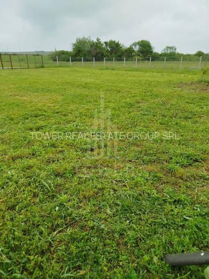 Grădină 862 mp cu cabanuta și pomi fructiferi – între Tălmaciu și Sadu - 6