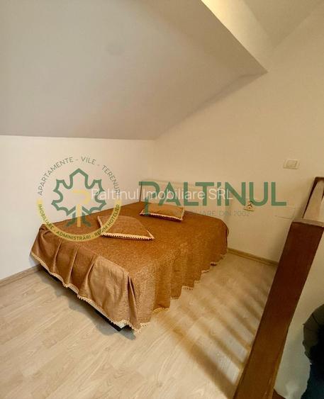 Apartament 2 camere de inchiriat Sibiu - 9
