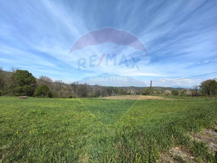 Teren intravilan de vânzare – Copalnic Mănăștur – 3.000 mp - 3