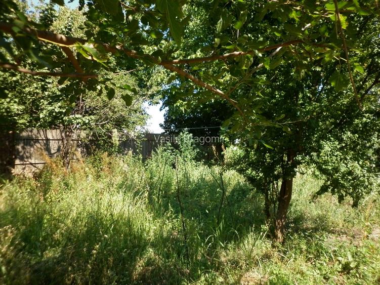 Vidra, teren intravilan 4.800 mp (sau 1.200 mp) - 3