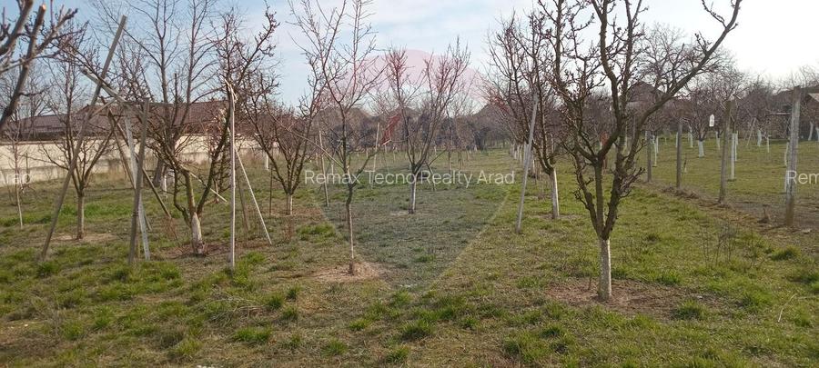 Teren Vladimirescu-  Zona Excelenta  2954 MP INTRAVILAN!!! - 6