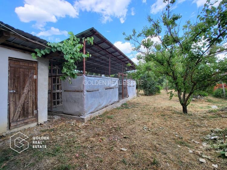 Casa P+M, sat Neudorf - 25