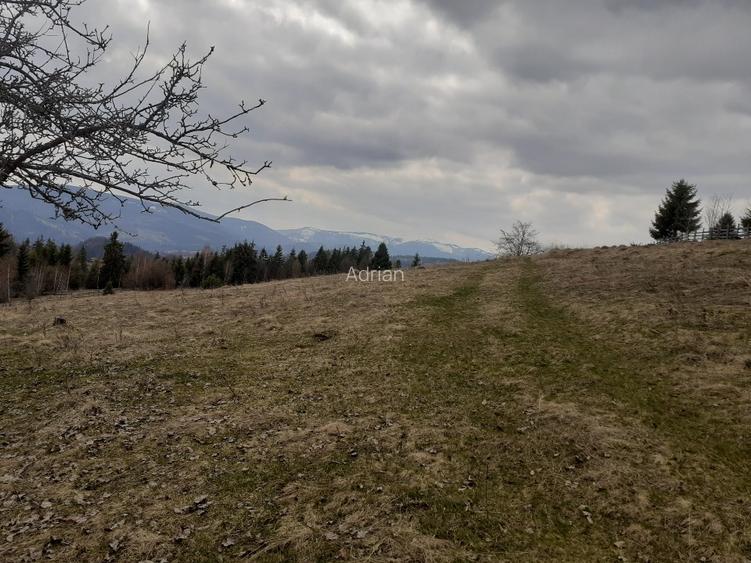 Vind casă și teren în satul Costești, comuna Albac județul Alba   - 5