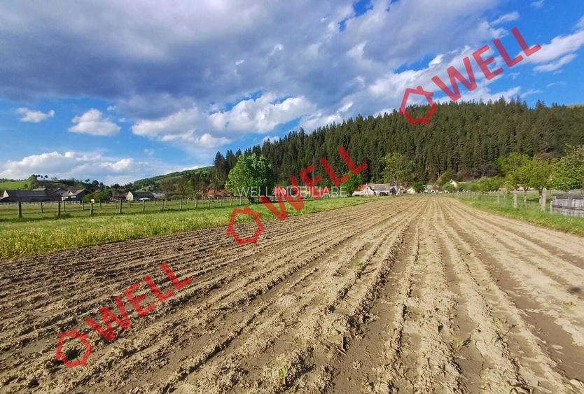 De vânzare teren intravilan în localitatea Sita Buzăului! - 5