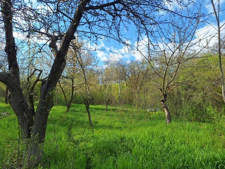 Moșia boierească din vârf de deal, Scorțeni - Prahova, comision 0% - 19